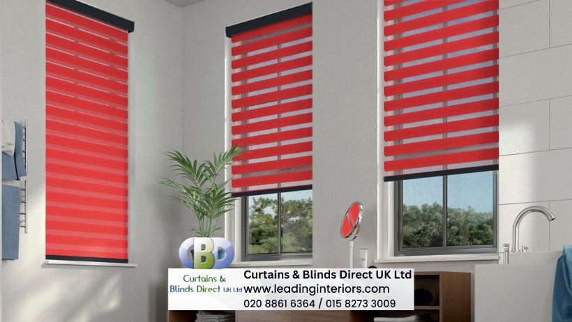 Vision Blinds Day and Night Blinds 6